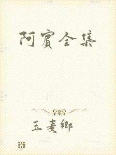 阿宾全集封面