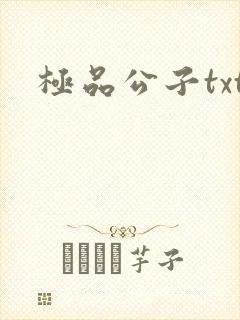 极品公子txt