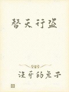 替天行盗