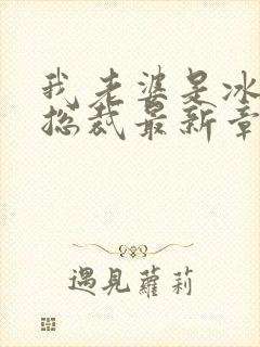 我老婆是冰山女总裁最新章节小说