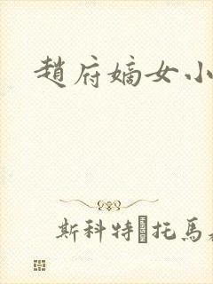 赵府嫡女小说封面