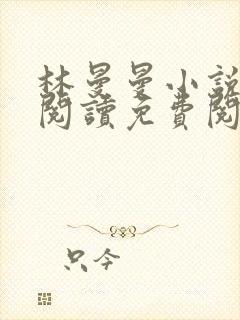 林曼曼小说全文阅读免费阅读全文
