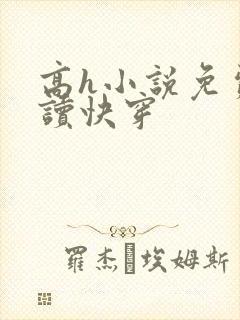 高h小说免费阅读快穿