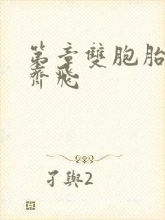 第章双胞胎姐妹齐飞封面