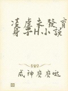 凌虐未发育的小身子H小说封面