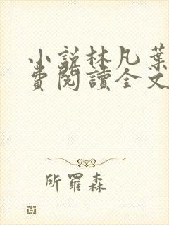 小说林凡叶惜免费阅读全文最新