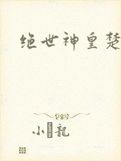 绝世神皇楚风