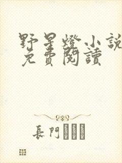 野星灯小说全文免费阅读