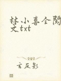 林小喜全阅读全文txt