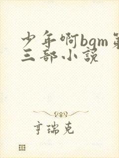 少年啊bgm第三部小说