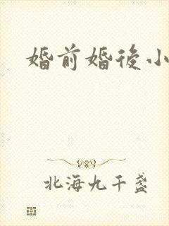 婚前婚后小说