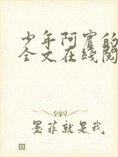 少年阿宾的故事全文在线阅读免费