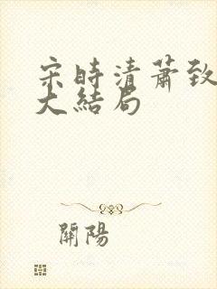 宋时清萧致徐蓉大结局封面