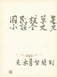 国民校草是女生小说全文免费阅读封面