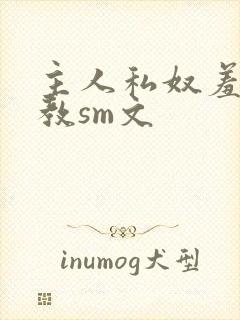 主人私奴羞辱调教sm文