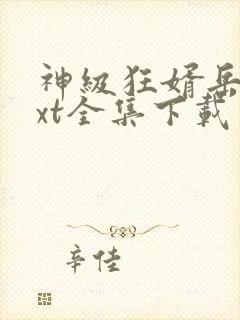神级狂婿岳风txt全集下载封面