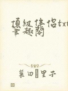顶级伴侣txt笔趣阁