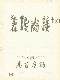 惊艳小说txt在线阅读