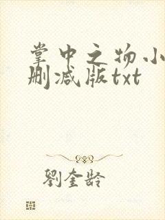 掌中之物小说未删减版txt