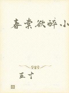 春棠欲醉小说封面