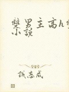 双男主高h双性小说封面