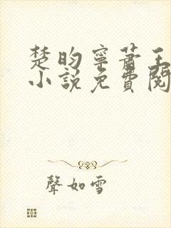 楚昀宁萧王穿越小说免费阅读无弹窗
