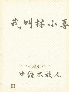 我叫林小喜17