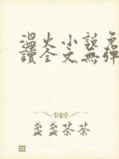 温火小说免费阅读全文无弹窗封面
