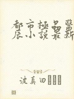 都市极品医神叶辰小说最新章节