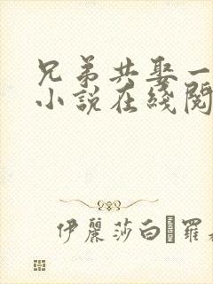 兄弟共娶一妻的小说在线阅读封面