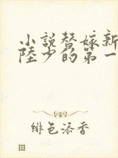 小说替嫁新娘:陆少的第一宠妻