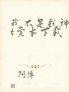我不是戏神txt完本下载封面