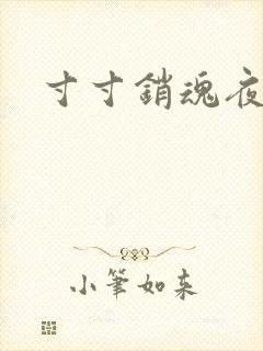 寸寸销魂夜春光