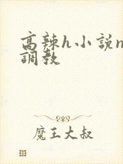 高辣h小说np调教
