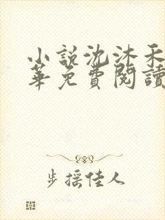 小说沈沐禾林霜华免费阅读