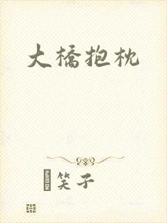 大桥抱枕