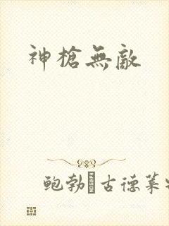 神枪无敌封面