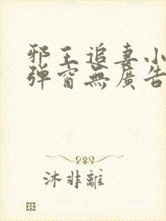 邪王追妻小说无弹窗无广告