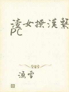 渣女撩汉系统NPC封面