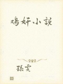 鸡奸小说封面