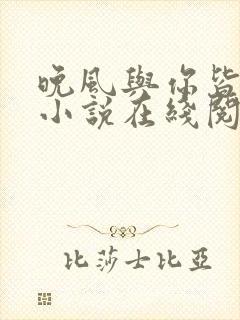 晚风与你皆温柔小说在线阅读