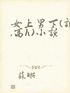 女上男下(调教,高h)小说