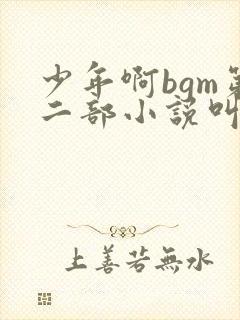 少年啊bgm第二部小说叫什么