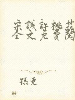 宋钱许桃花小说全文免费阅读封面