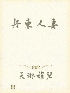 丹东人妻封面