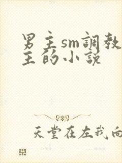 男主sm调教女主的小说