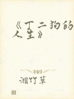 《丁二狗的逆袭人生》