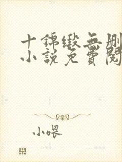 十锦缎无删原著小说免费阅读封面