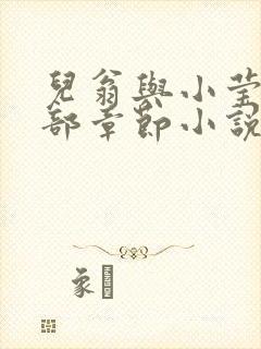 儿翁与小莹的全部章节小说