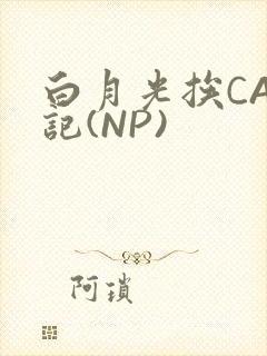 白月光挨CAO记(NP)